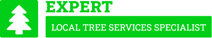 South Auckland Tree Services - Tree Removal South Auckland